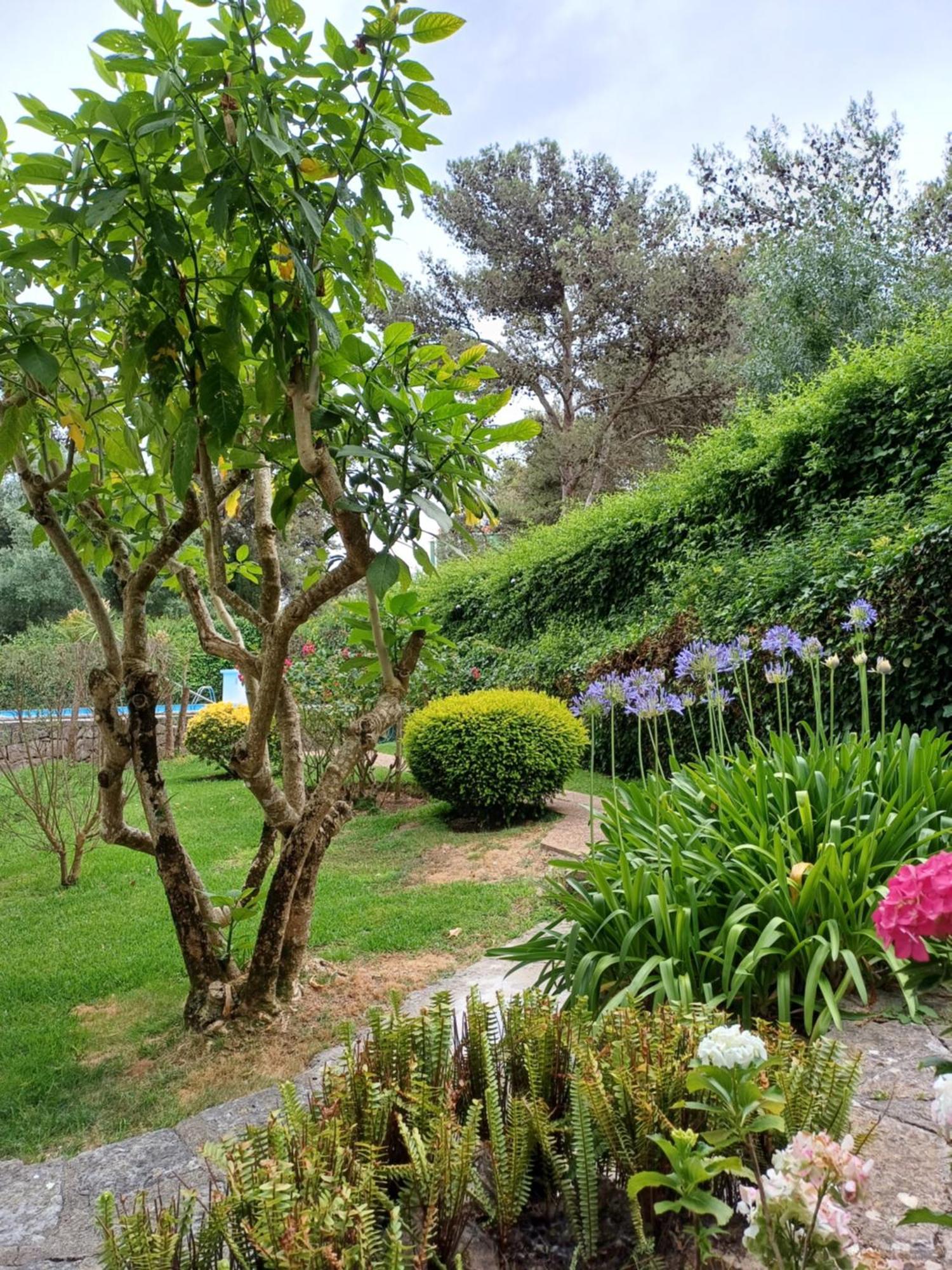 Appartment With Swiming Pool Cascais Exterior foto